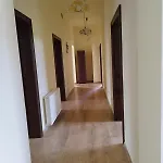 Caly Palacyk Na Wylacznosc * Odrowaz